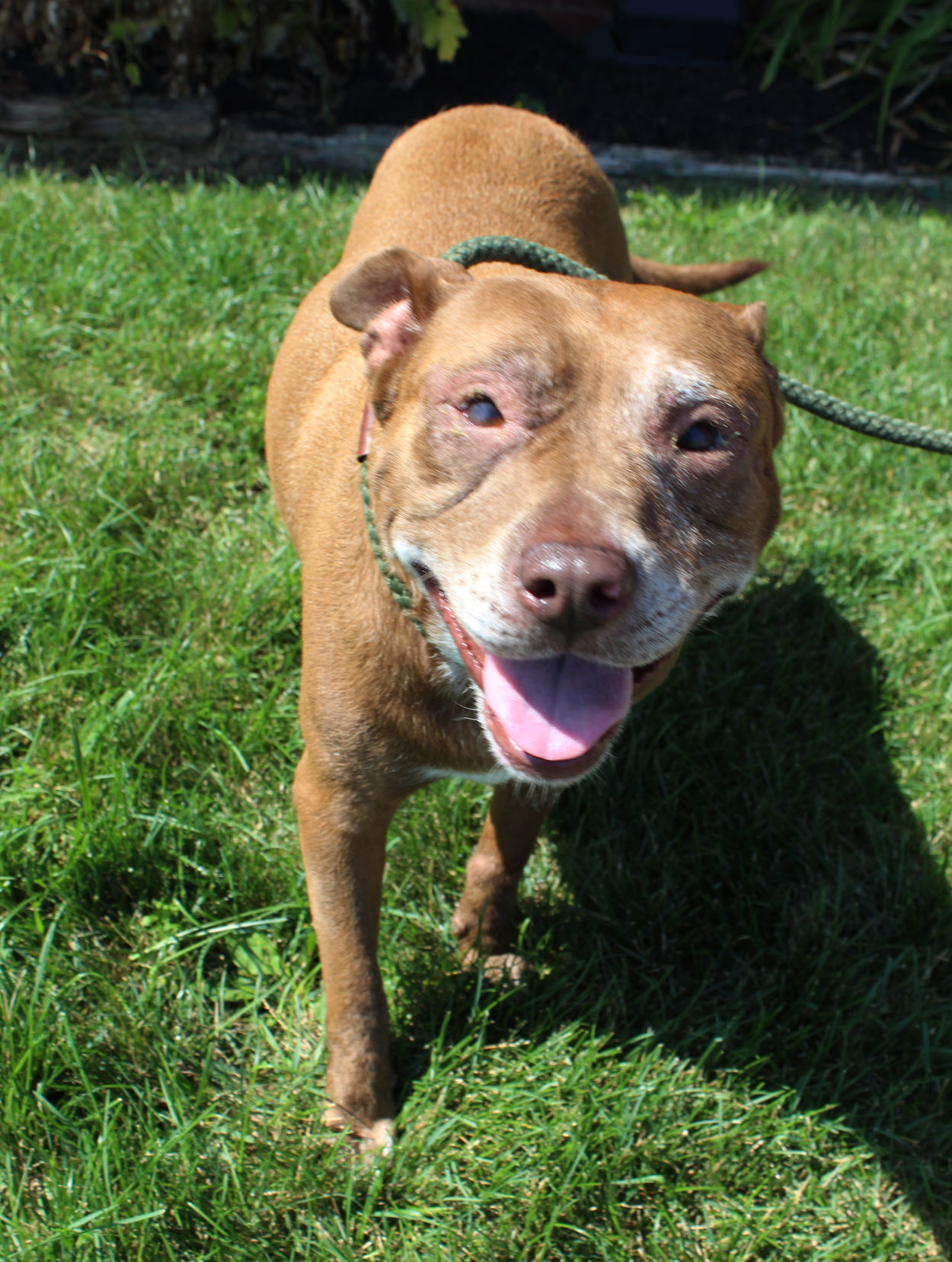 Couple donates washer to Lake County animal shelter